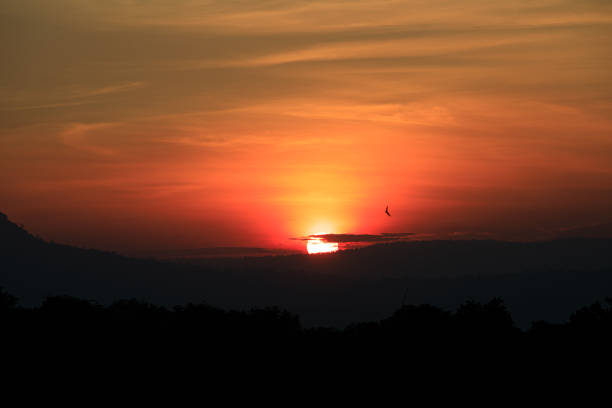 istock Orange and yellow sunrise 1364366631