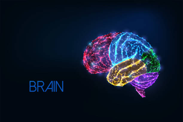 ダークブルーで分離された強調された部分を持つ未来的な輝く低多角形のカラフルな人間の脳 - lobe点のイラスト素材／クリップアート素材／マンガ素材／アイコン素材