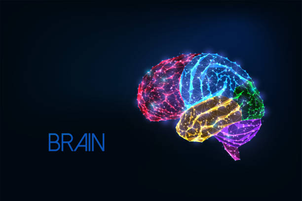 istock Futuristic glowing low polygonal colorful human brain with emphasized parts isolated on dark blue 1364368717