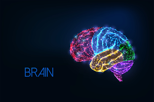 Futuristic glowing low polygonal colorful human brain with emphasized parts isolated on dark blue background. Modern wireframe mesh design vector illustration.