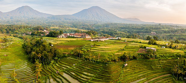 Rice terraces near Jatiluwih, Bali, Indonesia.