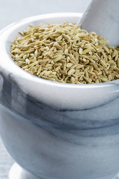 istock 2 small bowls with fennel seeds 1364372094
