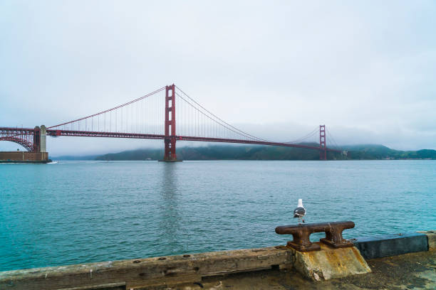 el puente golden gate por la mañana, san francisco, california. - golden gate bridge night bridge san francisco bay fotografías e imágenes de stock