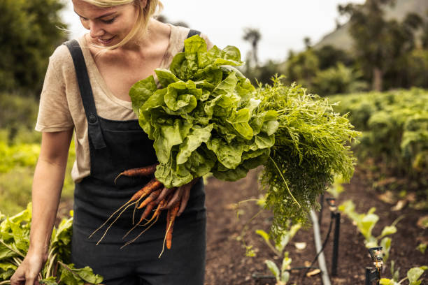 istock Smiling organic farmer holding freshly picked vegetables on her farm 1364372655