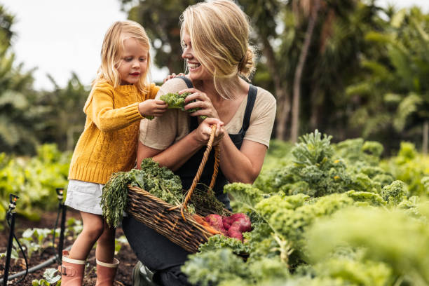istock Happy single mother picking fresh kale with her daughter 1364372775