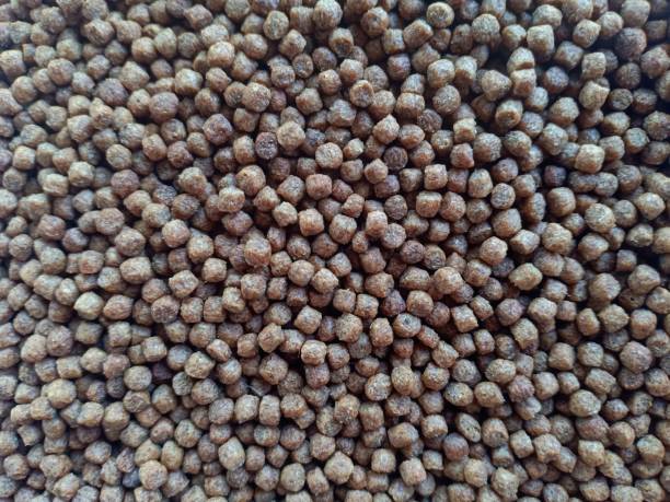 fish food pellets fish food pellets fish food stock pictures, royalty-free photos & images