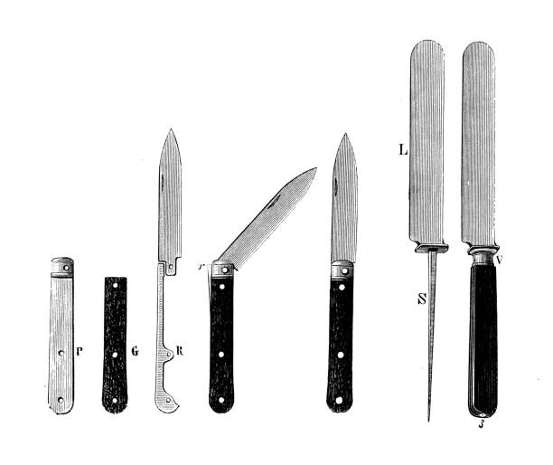 ilustrações de stock, clip art, desenhos animados e ícones de antique illustration of 19th century industry, technology and craftsmanship: knives - knife table knife kitchen knife penknife