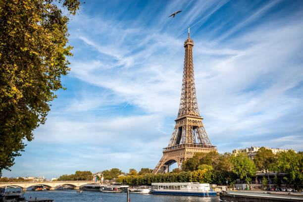 den eiffelturm von der seine in paris  - eiffelturm stock-fotos und bilder