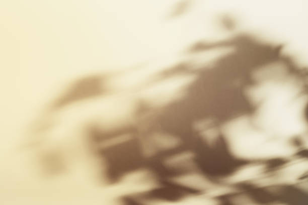 istock Natural foliage shadow on beige paper background. Abstract neutral floral backdrop. Soft light 1364383519