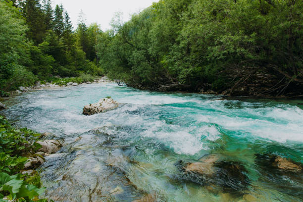vue panoramique sur la vallée verdoyante avec la rivière turquoise soča et la forêt de pins en slovénie - water surface european alps mountain valley photos et images de collection