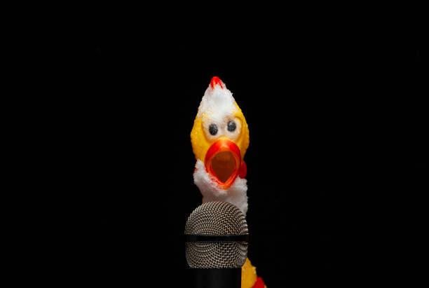 istock image of microphone rubber chicken snow dark background 1364385919