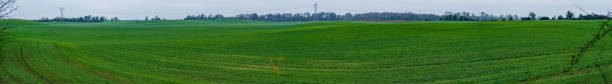 istock panoramic of a ploughed field 1364387944