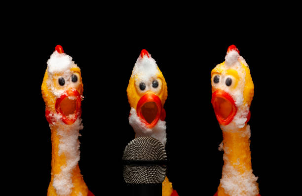 istock image of microphone rubber chicken snow dark background 1364389734
