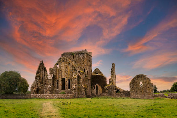 istock Ruins of Hore Abbey at sunset with reddish clouds. 1364390773
