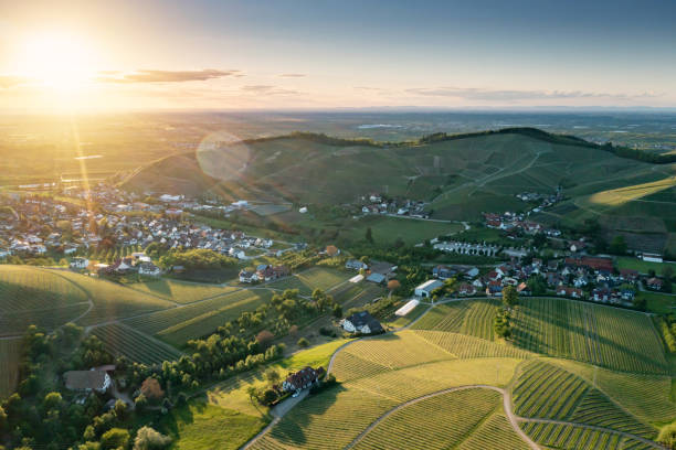 Aerial view of vineyards and rural housing in Germany stock photo