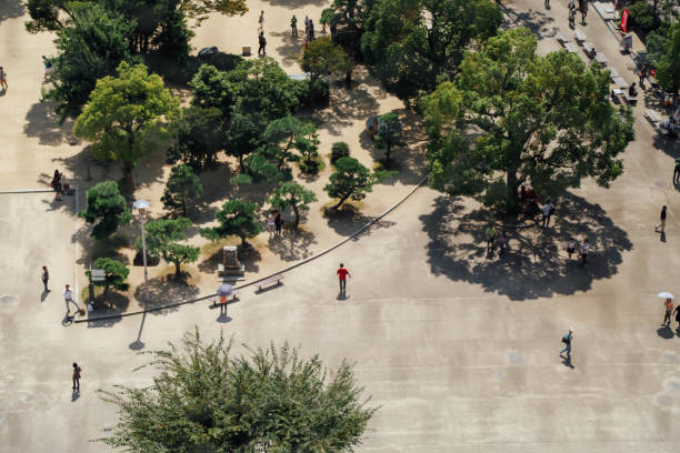 top-shot of the park