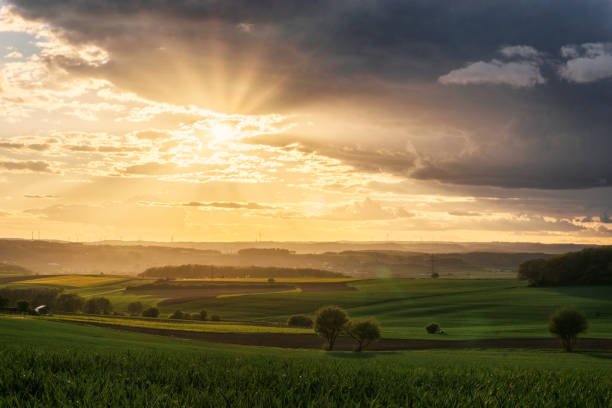 istock sunset with dramatic sky over rural landscape with agricultural green fields, Eifel, Germany 1364392286