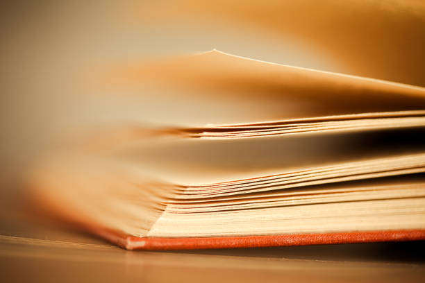 istock Open book on magic golden sunny background 1364392561