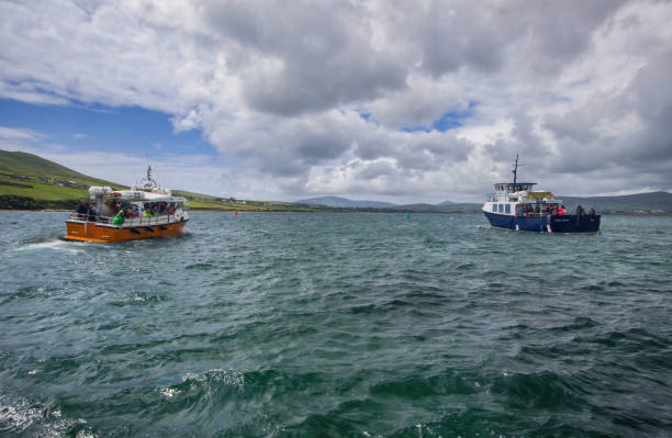 crucero por los acantilados, costa de kerry, irlanda - republic of ireland famous place dingle peninsula slea head fotografías e imágenes de stock