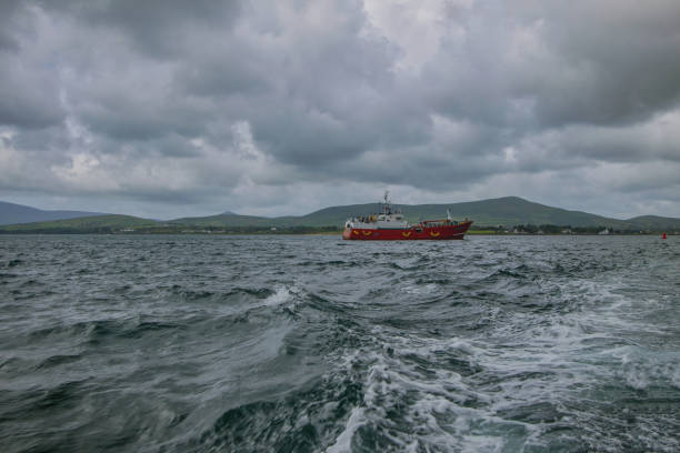 절벽을 따라 크루즈, 케리 해안선, 아일랜드 - republic of ireland famous place dingle peninsula slea head 뉴스 사진 이미지