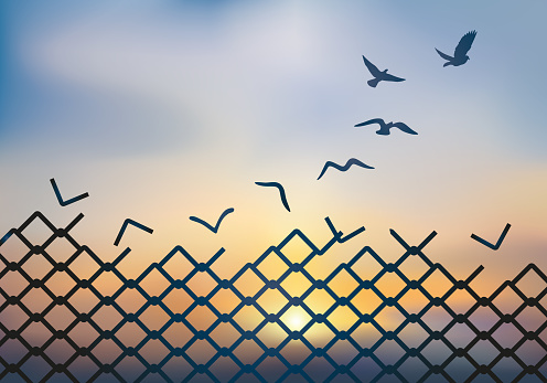 Concept of liberation, with the grid of a palisade that metamorphoses into a dove, which flies away and escapes at sunset.