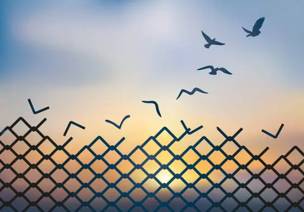 Vector illustration of Concept of freedom, with a fence that turns into a bird's flight.