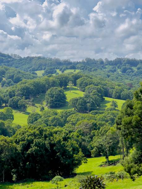 istock Byron Bay Shire Countryside Landscape 1364408577