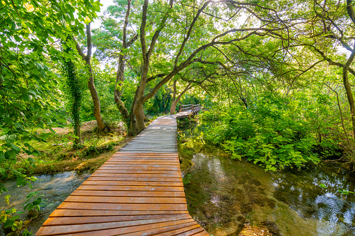 Magic wooden path in forest at Krka national nature park, Croatia. Path in forest near the lakes and waterfalls.