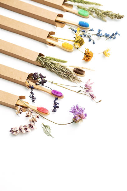 istock Multicolored bamboo toothbrushes with dried flowers. Zero wast wooden toothbrushes personal hygiene oral care accessories. Plastic free, eco friendly, sustainable lifestyle concept. 1364414417