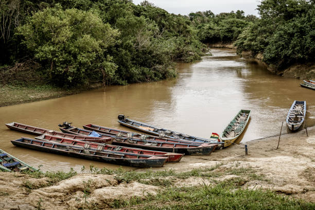 Along the river