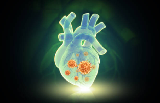 Virus infected human heart Virus infected human heart condition stock pictures, royalty-free photos & images