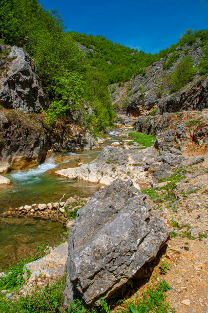 istock Mountain river Gradisnica and waterfalls 1364420516