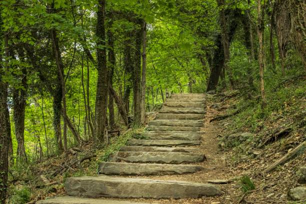 Appalachian Trail, West Virginia