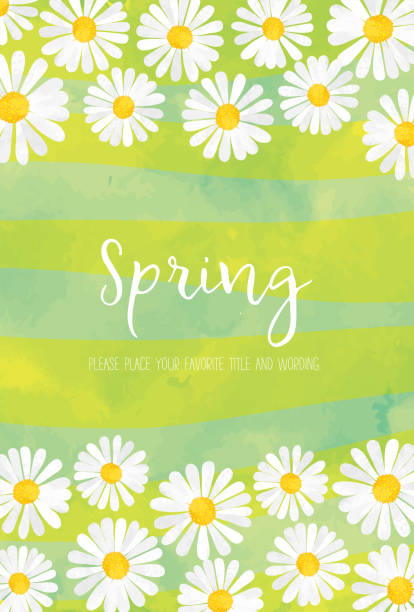illustrazioni stock, clip art, cartoni animati e icone di tendenza di materiale di sfondo marguerite primaverile - spring may march blossom