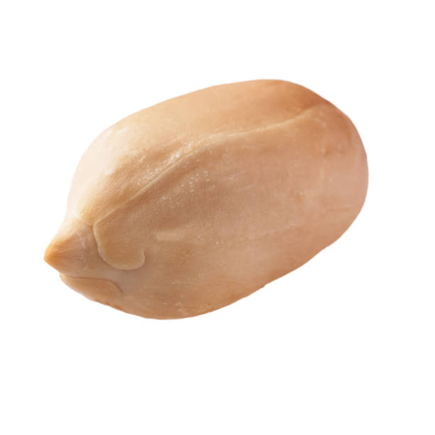 istock Single peeled peanut isolated on a white background 1364430230