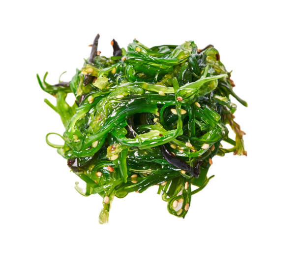 racimo de algas wakame aisladas sobre fondo blanco - wakame salad fotografías e imágenes de stock