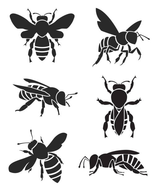 набор пчел - hive frame stock illustrations