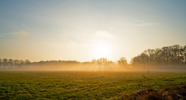 paisaje con prado bordeado en un día de invierno brumoso - meadow sunrise fog sky fotografías e imágenes de stock