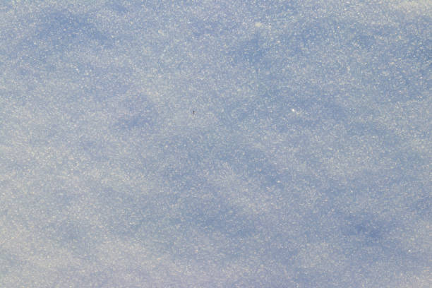 istock Texture of the white snow. Winter background 1364436850