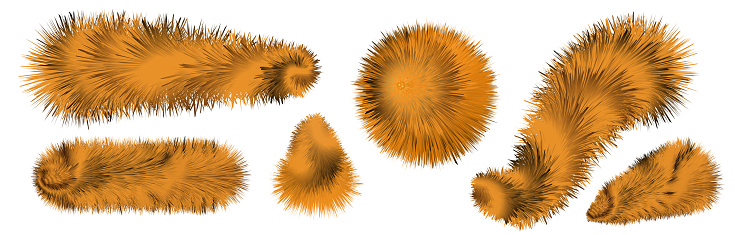 Fur brushes,  pompoms and ball, fuzzy  hair texture. striped orange and black tiger and for fluffy fuzzy fur. isolated objects, vector illustration
