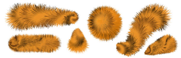 Fur brushes,  pompoms and ball, fuzzy  hair texture. striped orange and black tiger and for fluffy fuzzy fur. isolated objects, vector illustration Fur brushes,  pompoms and ball, fuzzy  hair texture. striped orange and black tiger and for fluffy fuzzy fur. isolated objects, vector illustration fur stock illustrations