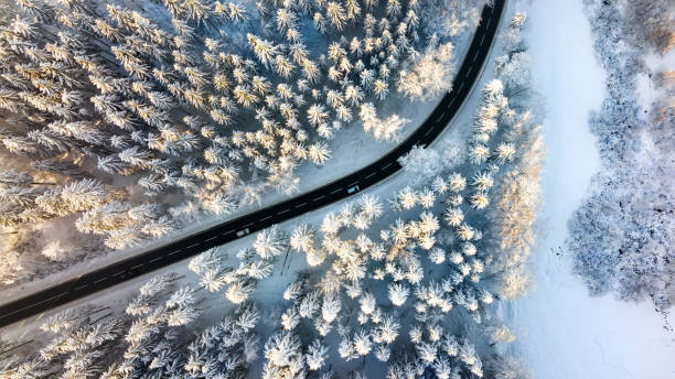 istock Road through the wintery forest 1364438589