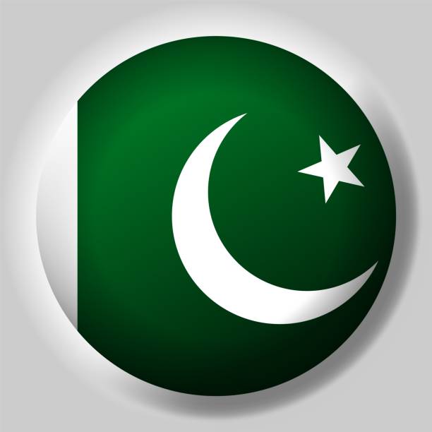 ilustrações de stock, clip art, desenhos animados e ícones de flag of pakistan button - bandeira do paquistão