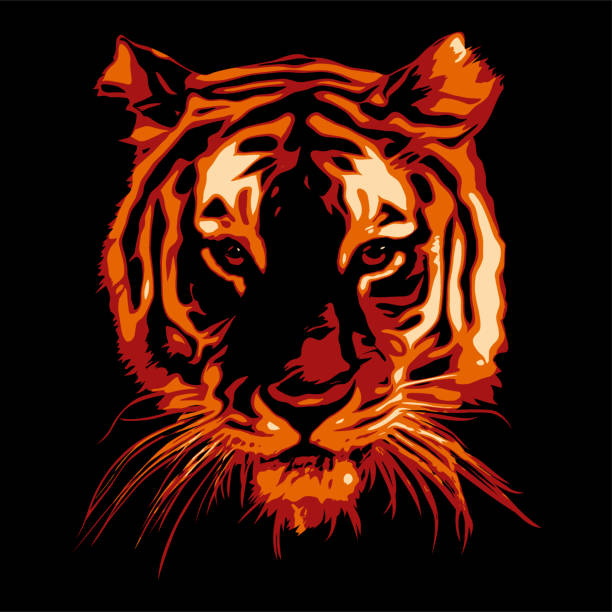 Tiger head vector Tiger head realistic vector illustration on black background. bengal tiger pattern stock illustrations