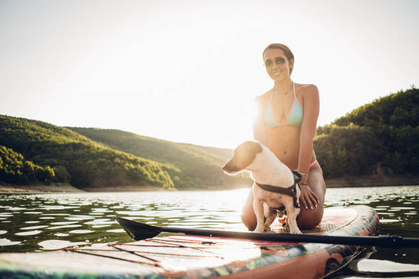 istock Pretty young woman paddle boarding with her little dog 1364444272