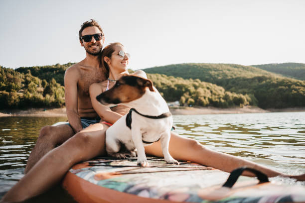 istock Beautiful woman paddle boarding 1364444682
