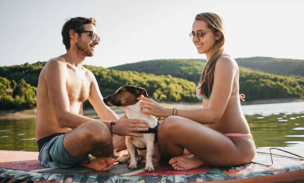 para turystów młody mężczyzna i kobieta bawiący się paddleboardingiem - swimming animal beach casual loving zdjęcia i obrazy z banku zdjęć