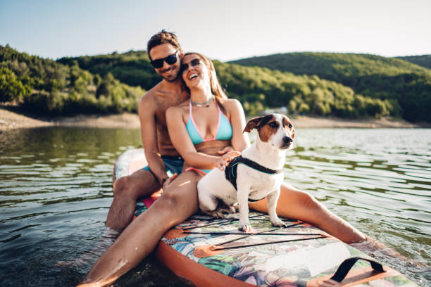 istock Cute young couple paddle boarding 1364445391