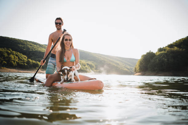 istock Cute young couple paddle boarding 1364445393