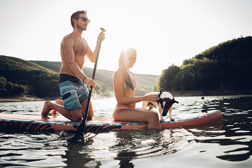 Cute young couple paddle boarding